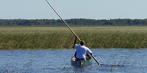 Earth Systems Science